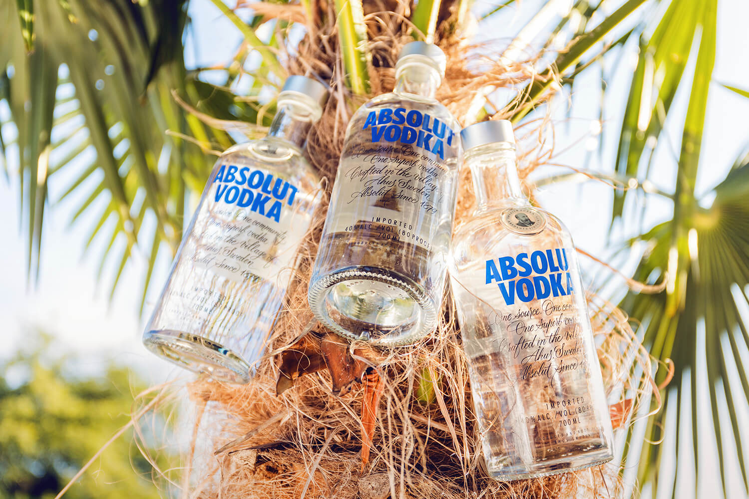 absolut07